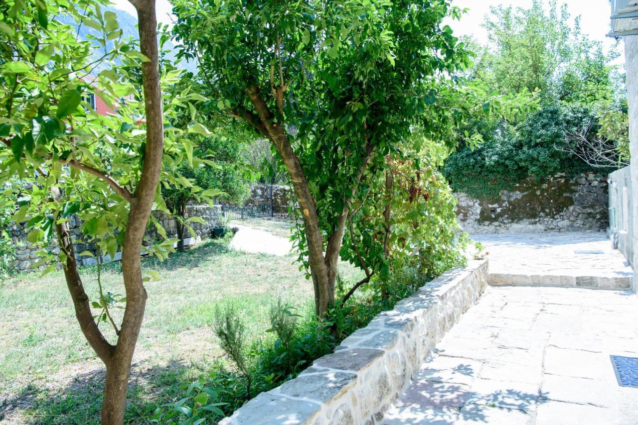Stone House 264 Villa Kotor Eksteriør bilde